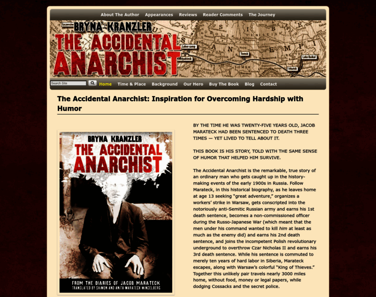 Theaccidentalanarchist.com thumbnail