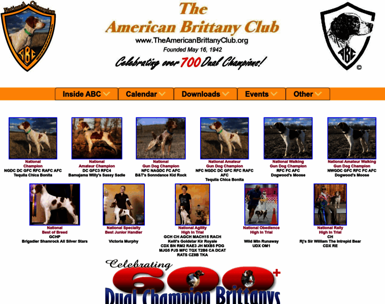 Theamericanbrittanyclub.org thumbnail