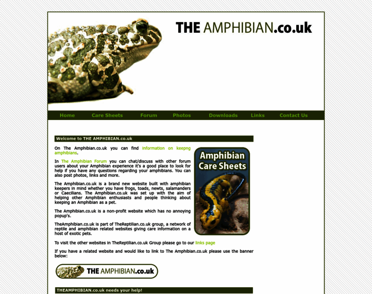 Theamphibian.co.uk thumbnail