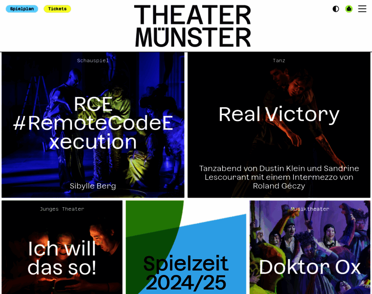 Theater-muenster.com thumbnail