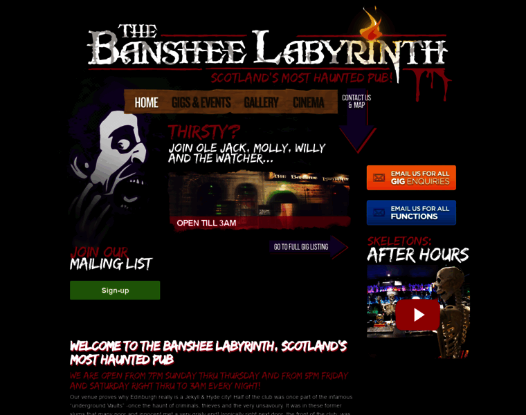 Thebansheelabyrinth.com thumbnail