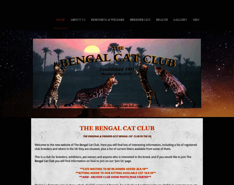 Thebengalcatclub.com thumbnail