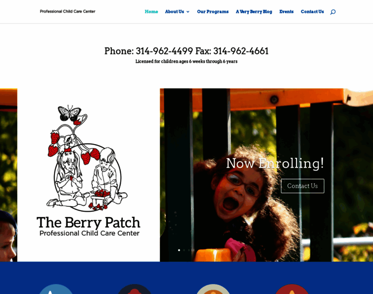 Theberrypatchstl.com thumbnail