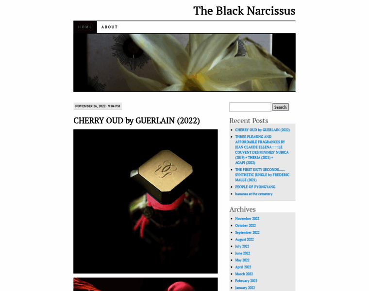 Theblacknarcissus.com thumbnail