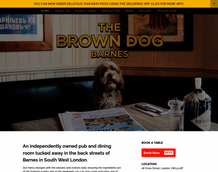 Thebrowndog.co.uk thumbnail