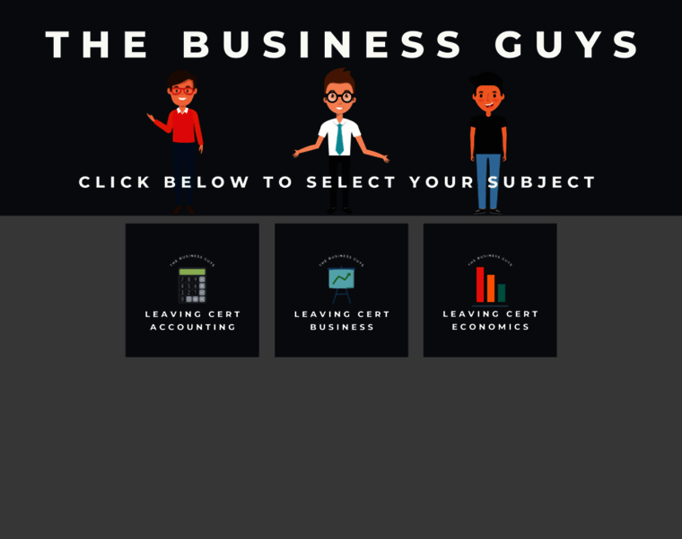 Thebusinessguys.ie thumbnail