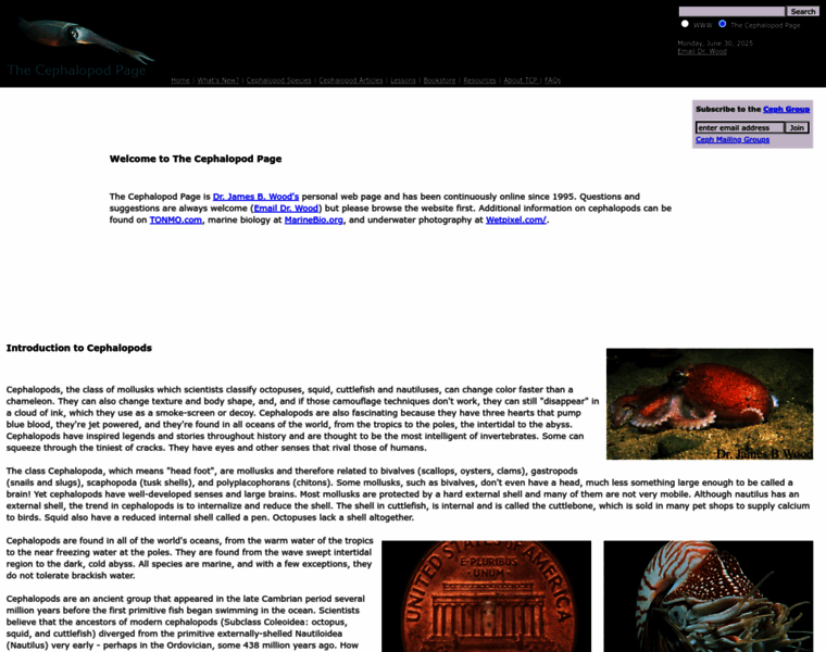 Thecephalopodpage.org thumbnail