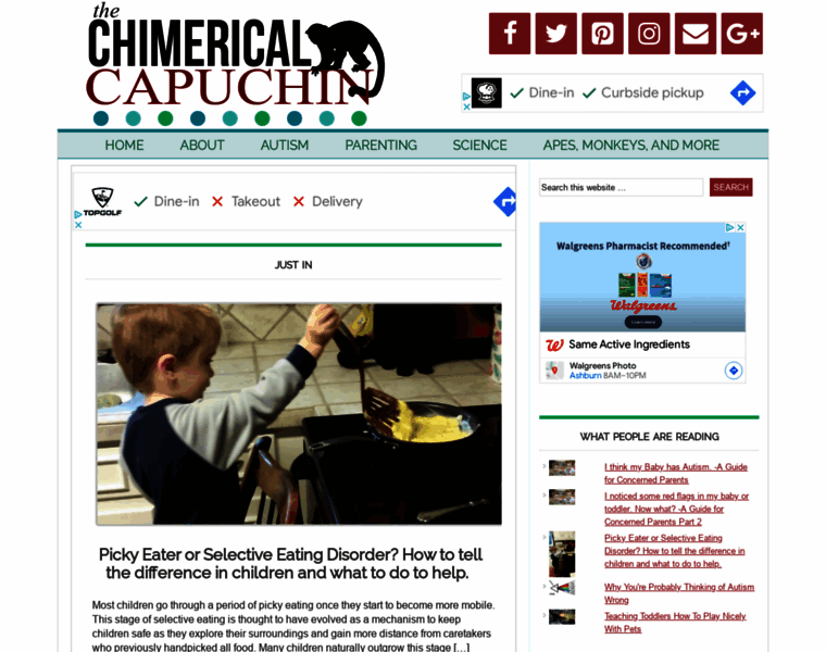Thechimericalcapuchin.com thumbnail Thechimericalcapuchin.com thumbnail