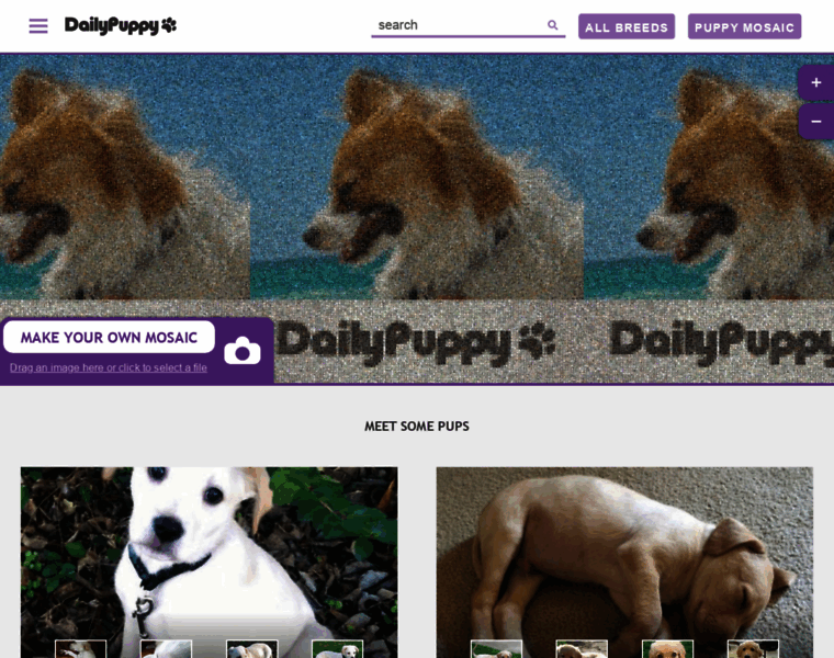 Thedailypuppy.com thumbnail