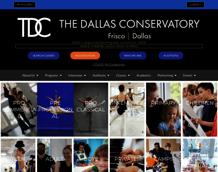 Thedallasconservatory.org thumbnail