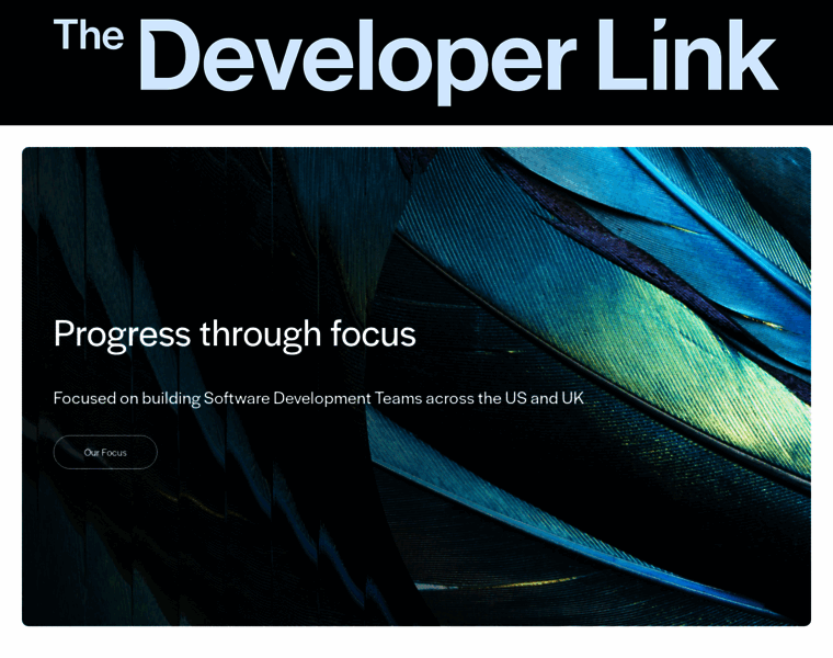 Thedeveloperlink.io thumbnail