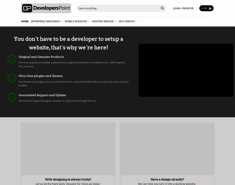 Thedeveloperspoint.com thumbnail