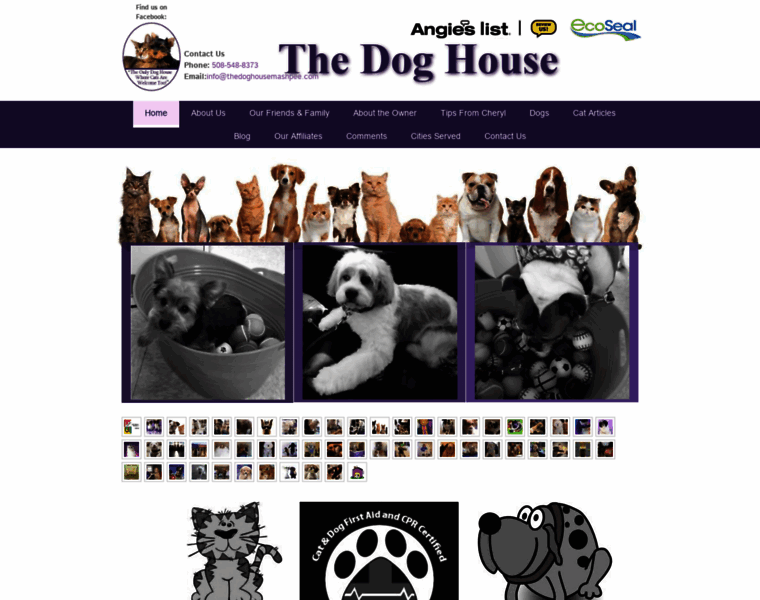 Thedoghousemashpee.com thumbnail