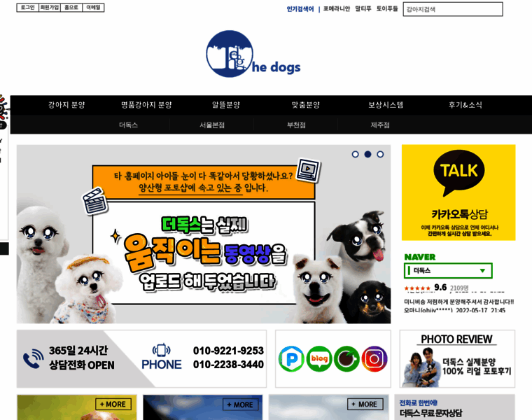 Thedogs.co.kr thumbnail