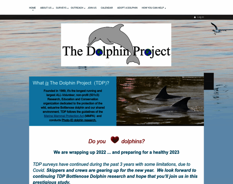Thedolphinproject.org thumbnail