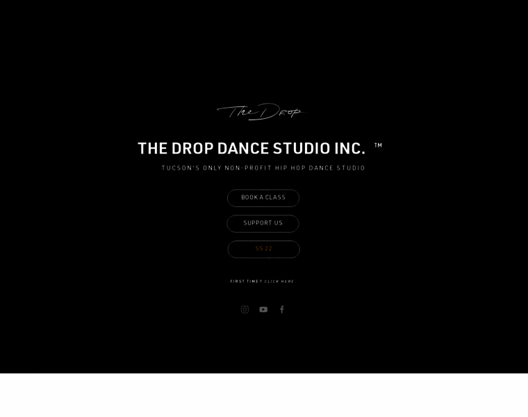 Thedropdancestudio.com thumbnail