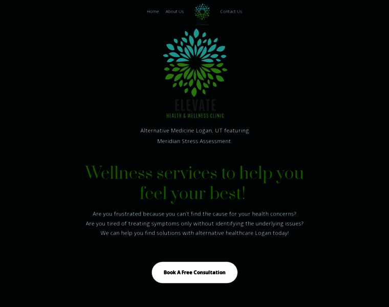 Theelevatehealthclinic.com thumbnail Theelevatehealthclinic.com thumbnail