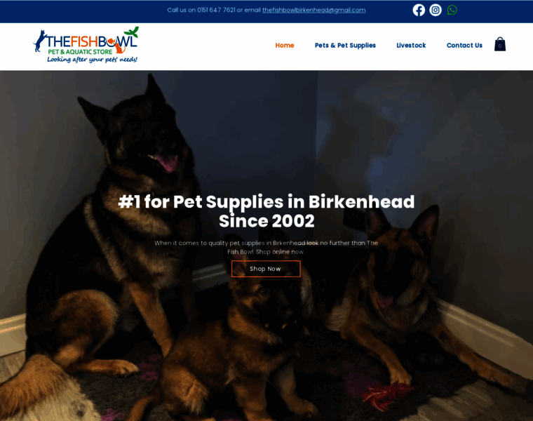 Thefishbowlwirral.co.uk thumbnail