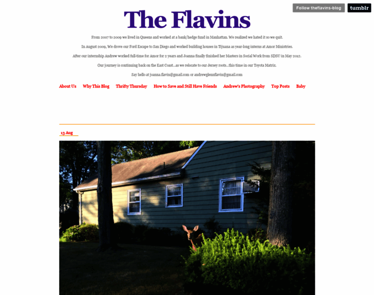 Theflavins.com thumbnail