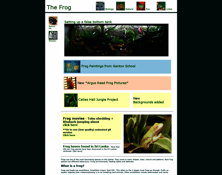 Thefrog.org thumbnail
