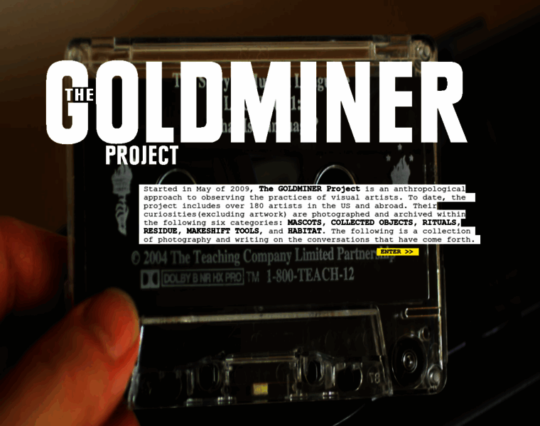 Thegoldminerproject.com thumbnail