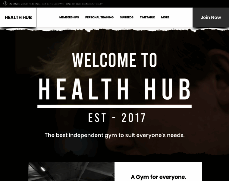 Thehealthhub.fitness thumbnail