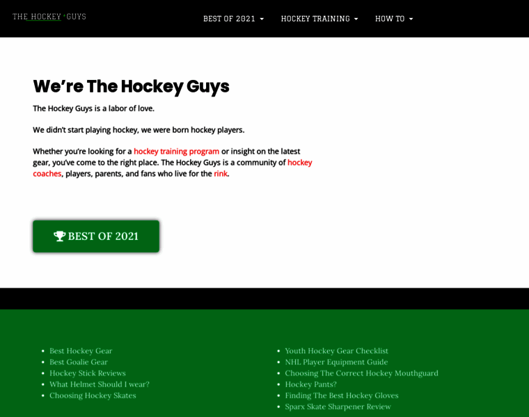 Thehockeyguys.net thumbnail