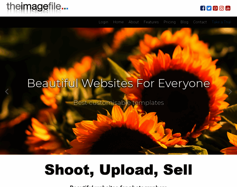 Theimagefile.ie thumbnail