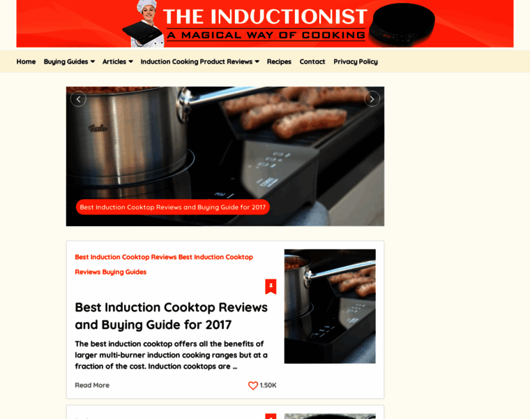 Theinductionist.com thumbnail