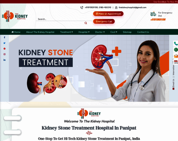 Thekidneyhospital.com thumbnail