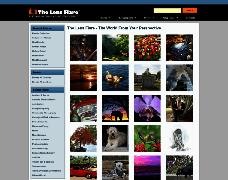 Thelensflare.com thumbnail