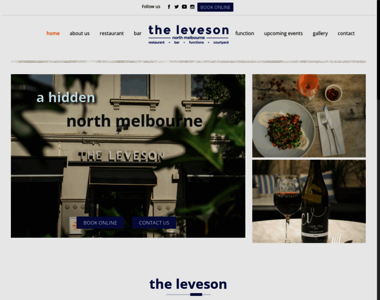 Theleveson.com thumbnail