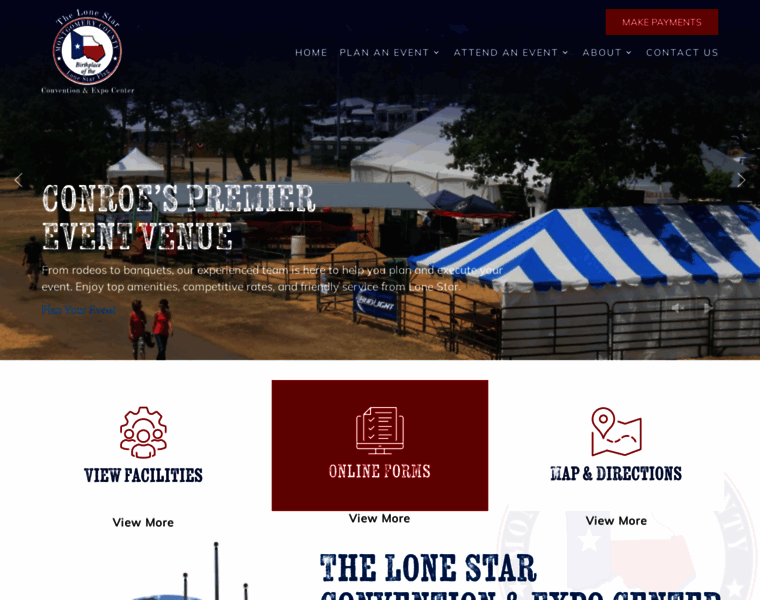 Thelonestar.org thumbnail