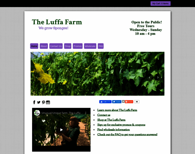Theluffafarm.com thumbnail