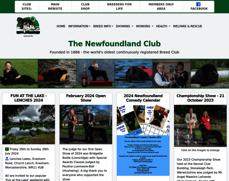 Thenewfoundlandclub.co.uk thumbnail