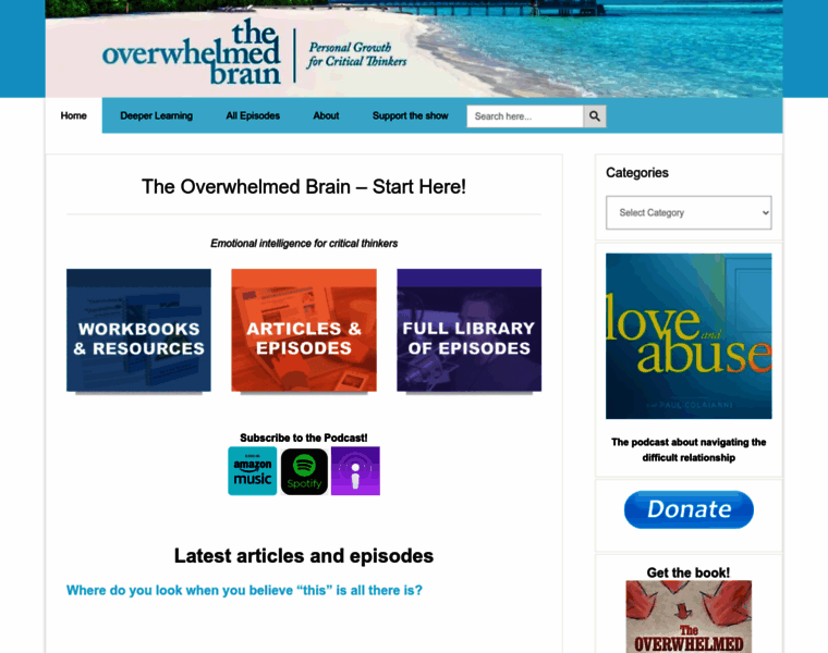 Theoverwhelmedbrain.com thumbnail