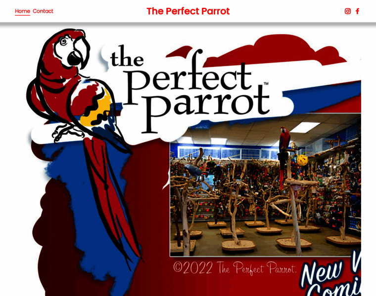 Theperfectparrot.com thumbnail