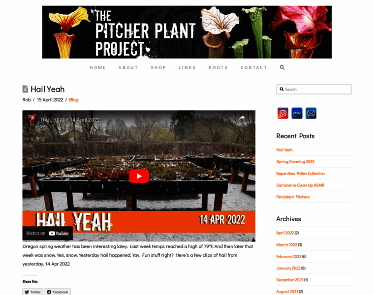 Thepitcherplantproject.com thumbnail
