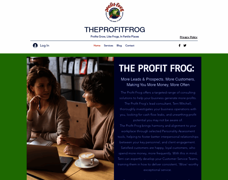 Theprofitfrog.com thumbnail