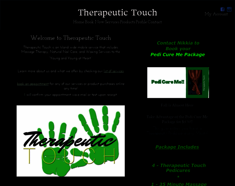 Therapeutictouchbda.com thumbnail