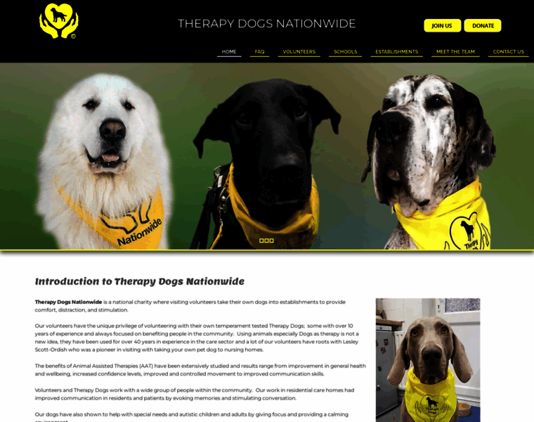 Therapydogsnationwide.org thumbnail