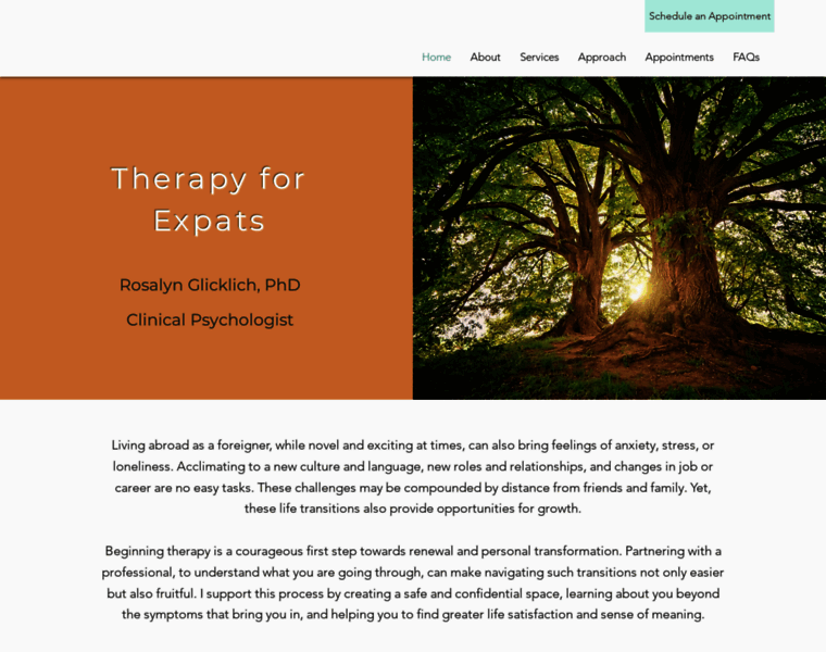 Therapyforexpats.org thumbnail