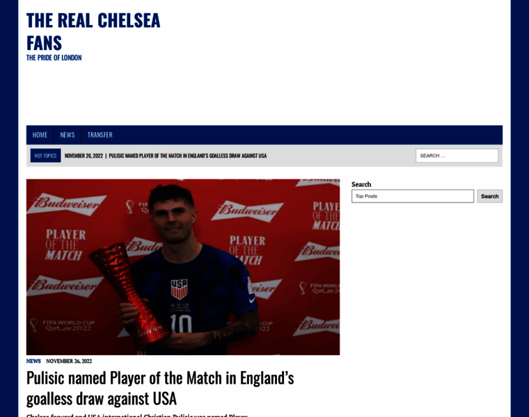 Therealchelseafans.com thumbnail