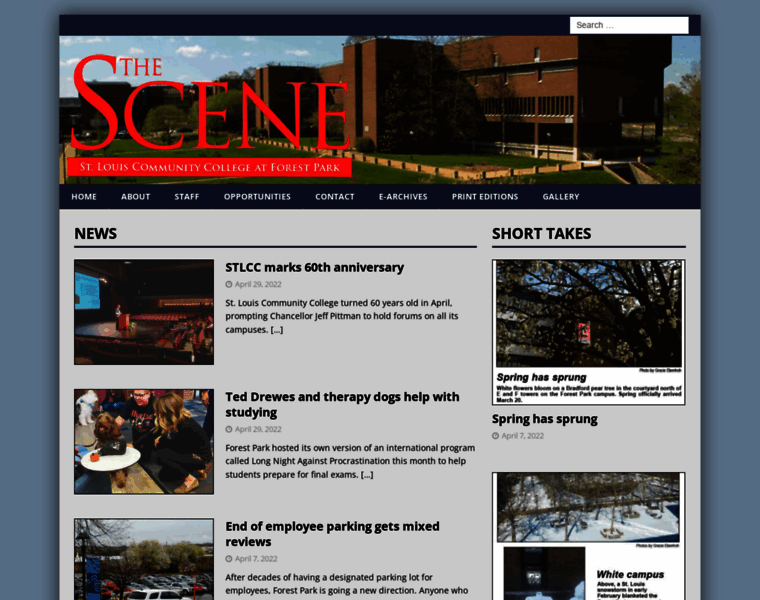 Thescenefp.com thumbnail