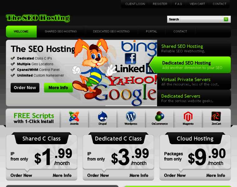 Theseohosting.com thumbnail