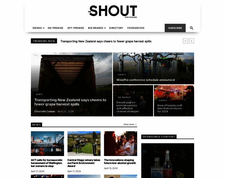 Theshout.co.nz thumbnail