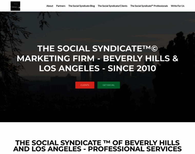 Thesocialsyndicate.com thumbnail