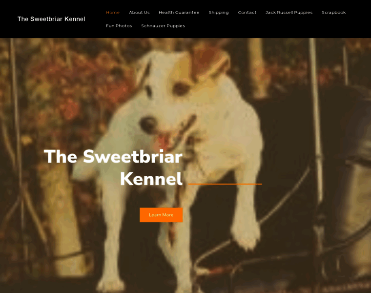 Thesweetbriarkennel.com thumbnail
