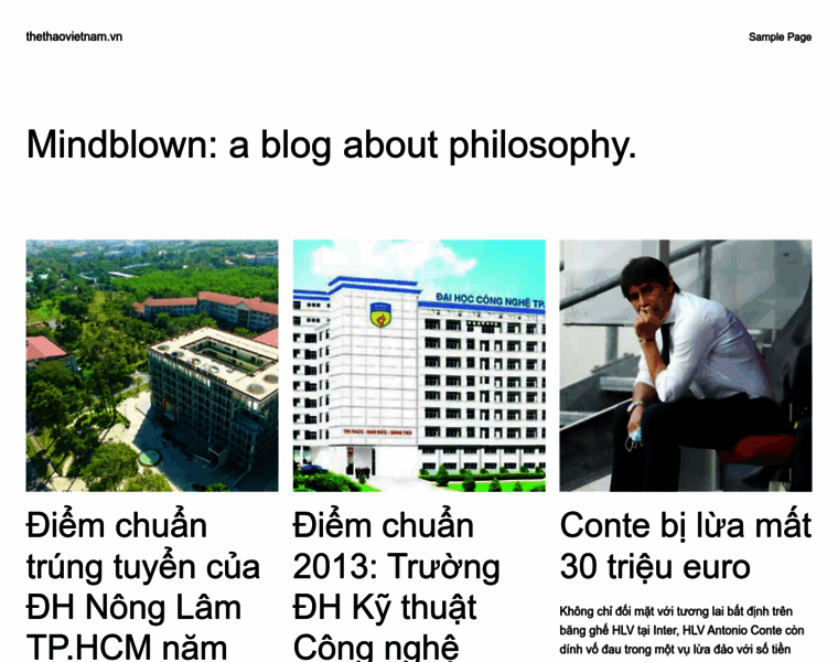 Thethaovietnam.vn thumbnail