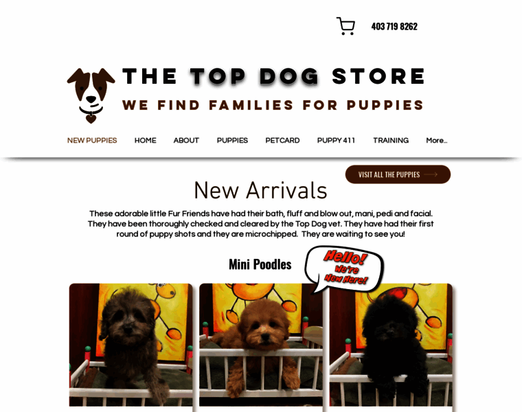 Thetopdogstore.com thumbnail